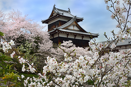 郡山城跡