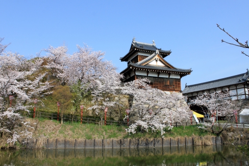 第６３回大和郡山お城まつり