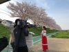 奈良テレビ「ゆうドキッ！」～富雄川沿い桜並木・謎城PR～