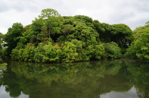 丸山古墳（新木山古墳）