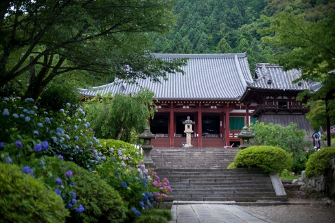 矢田寺（金剛山寺）